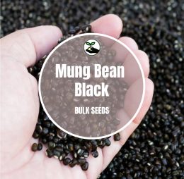 Black Mung Beans – Bulk Deals