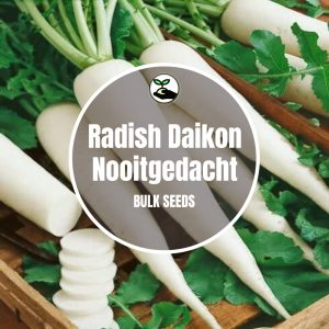 Radish Daikon (Nooitgedacht) - Bulk Deals - 5g (+- 400 Seeds)