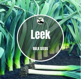 Leek – Bulk Deals