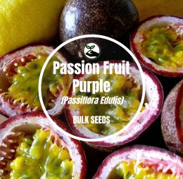 Passion Fruit Purple (Granadilla) – Bulk Deals