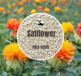 Safflower – Bulk Deals