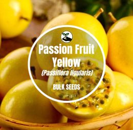 Passion Fruit Yellow – Bulk Deals