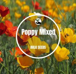 Poppy Mixed – Bulk Seeds