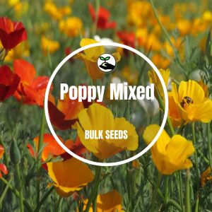 Poppy Mixed - Bulk Seeds - 1g (+- 1000 Seeds)