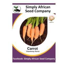 Carrot (Chantenay Karoo) 50’s