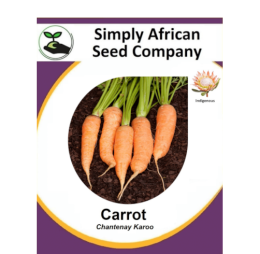 Carrot (Chantenay Karoo) 50’s