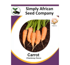 Carrot (Chantenay Karoo) 50’s