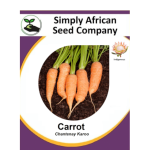 Carrot (Chantenay Karoo) 50's