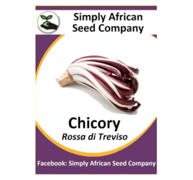 Chicory Rossa di Treviso 30’s