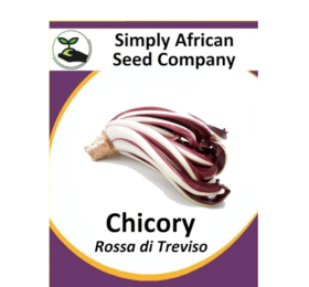 Chicory Rossa di Treviso 30’s