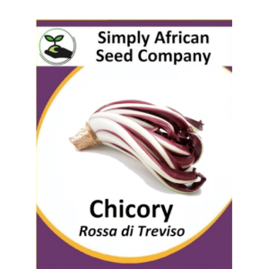 Chicory Rossa di Treviso 30's