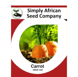 Carrot Ideal Red 50’s