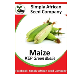Maize (Green Mielie Kalahari Early Pearl) 20’s