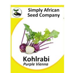 Kohlrabi Purple Vienna 50’s