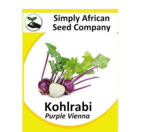 Kohlrabi Purple Vienna 50’s
