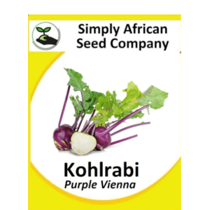 Kohlrabi Purple Vienna 50's