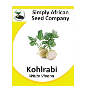 Kohlrabi White Vienna 50's