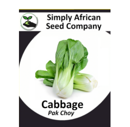 Cabbage Pak Choi 50’s