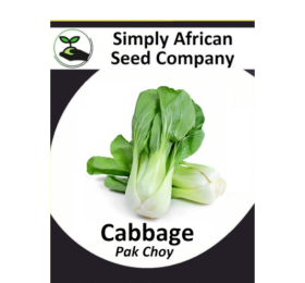 Cabbage Pak Choi 50’s