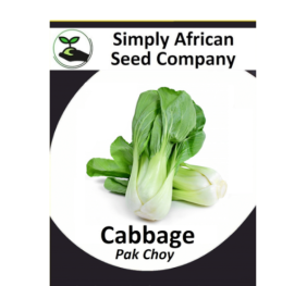 Cabbage Pak Choi 50’s