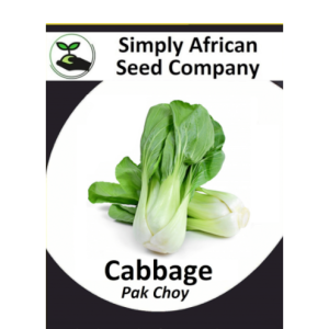 Cabbage Pak Choi 50's