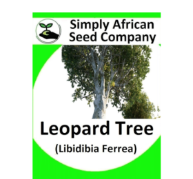 Leopard Tree (Libidibia Ferrea) 6’s