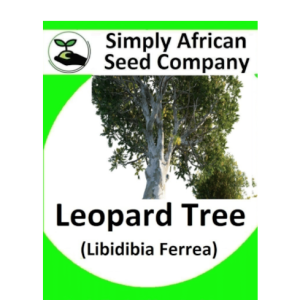 Leopard Tree (Libidibia Ferrea) 6's