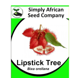 Lipstick Tree (Bixa Orellana) 12’s