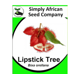 Lipstick Tree (Bixa Orellana) 12’s