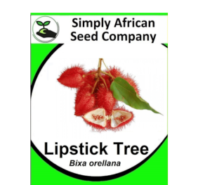 Lipstick Tree (Bixa Orellana) 12’s