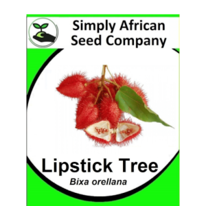 Lipstick Tree (Bixa Orellana) 12's