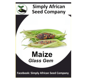 Maize Glass Gem 15’s