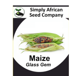 Maize Glass Gem 15’s