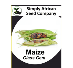 Maize Glass Gem 15’s