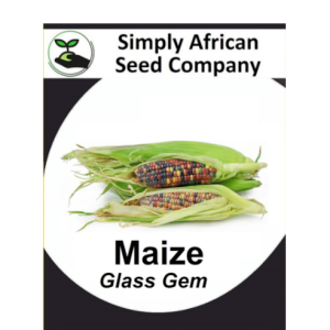 Maize Glass Gem 15's
