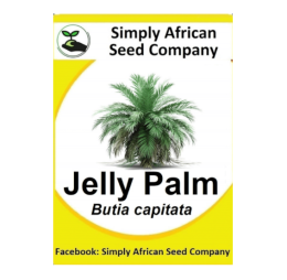 Palm Jelly (Butia Capitata) 6’s