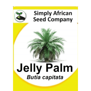 Palm Jelly (Butia Capitata) 6's