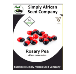 Rosary Pea (Abrus Precatorius) 6’s
