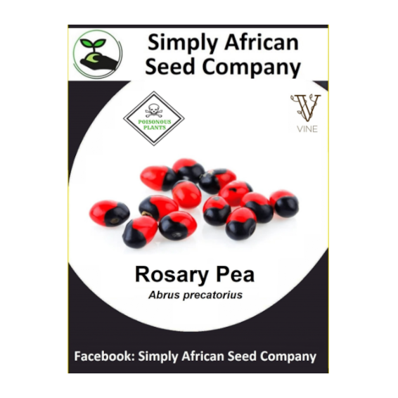 Rosary Pea (Abrus Precatorius) 6's - simplyafricanseedcompany