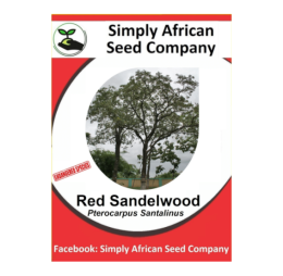 Red Sandalwood (Pterocarpus Santalinus) 6’s