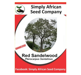 Red Sandalwood (Pterocarpus Santalinus) 6’s