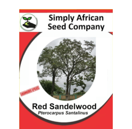 Red Sandalwood (Pterocarpus Santalinus) 6’s