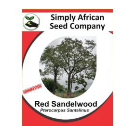 Red Sandalwood (Pterocarpus Santalinus) 6’s