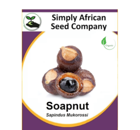 Soapnut (Sapindus Mukorossi) 2’s