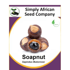 Soapnut (Sapindus Mukorossi) 2's