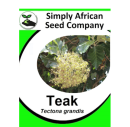 Teak (Tectona Grandis) 3’s