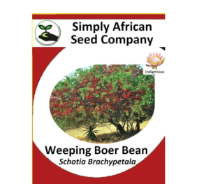 Weeping Boer Bean (Schotia Brachypetala) 6’s