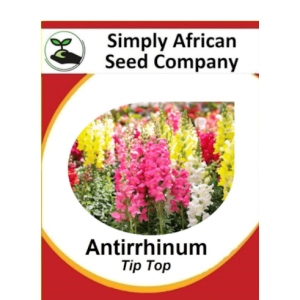 Antirrhinum Tip Top 100's