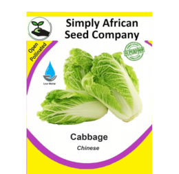 Cabbage Chinese 30’s