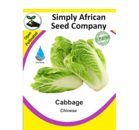 Cabbage Chinese 30’s